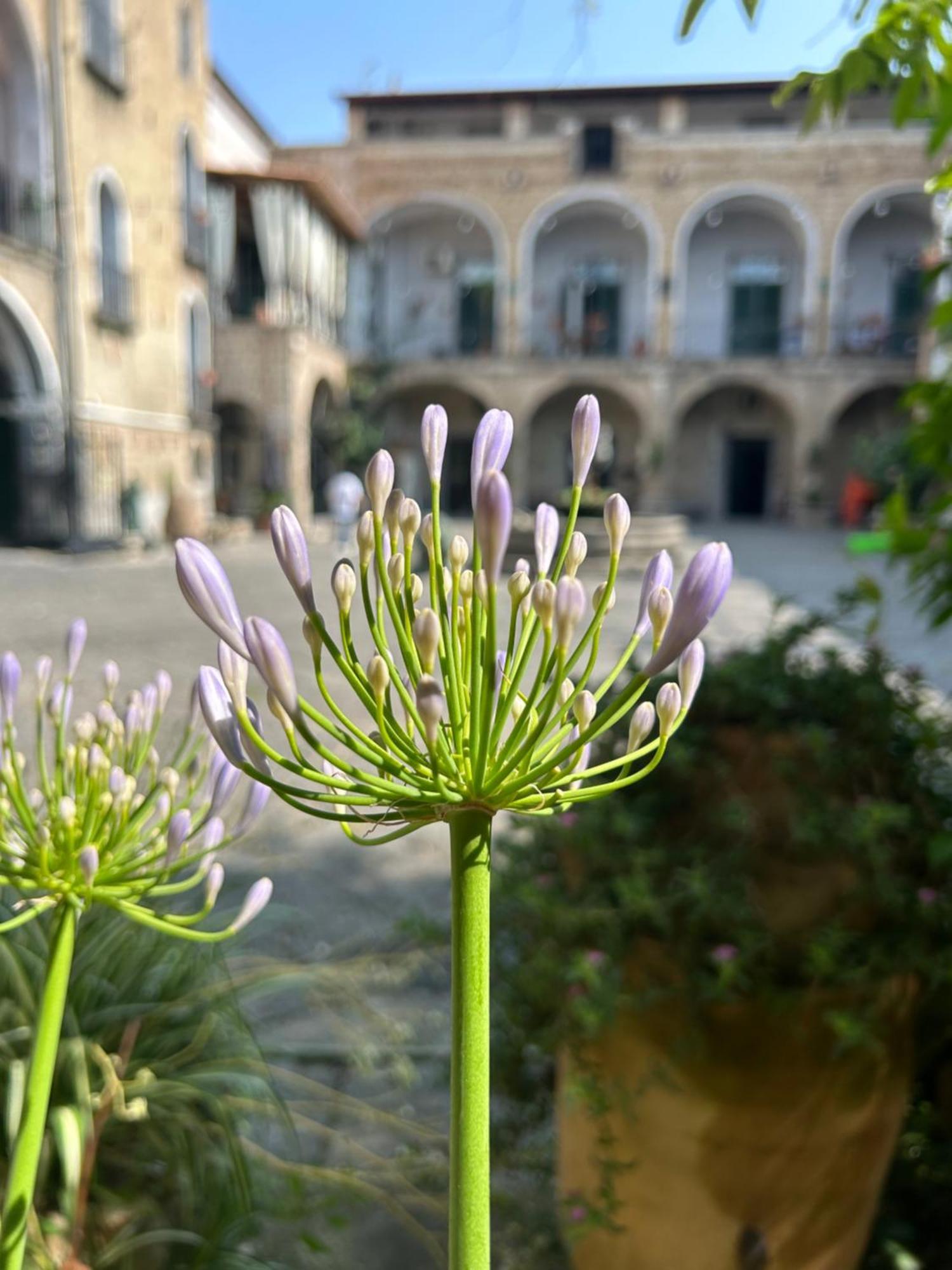 Palazzo Capece Appartement Caivano Buitenkant foto